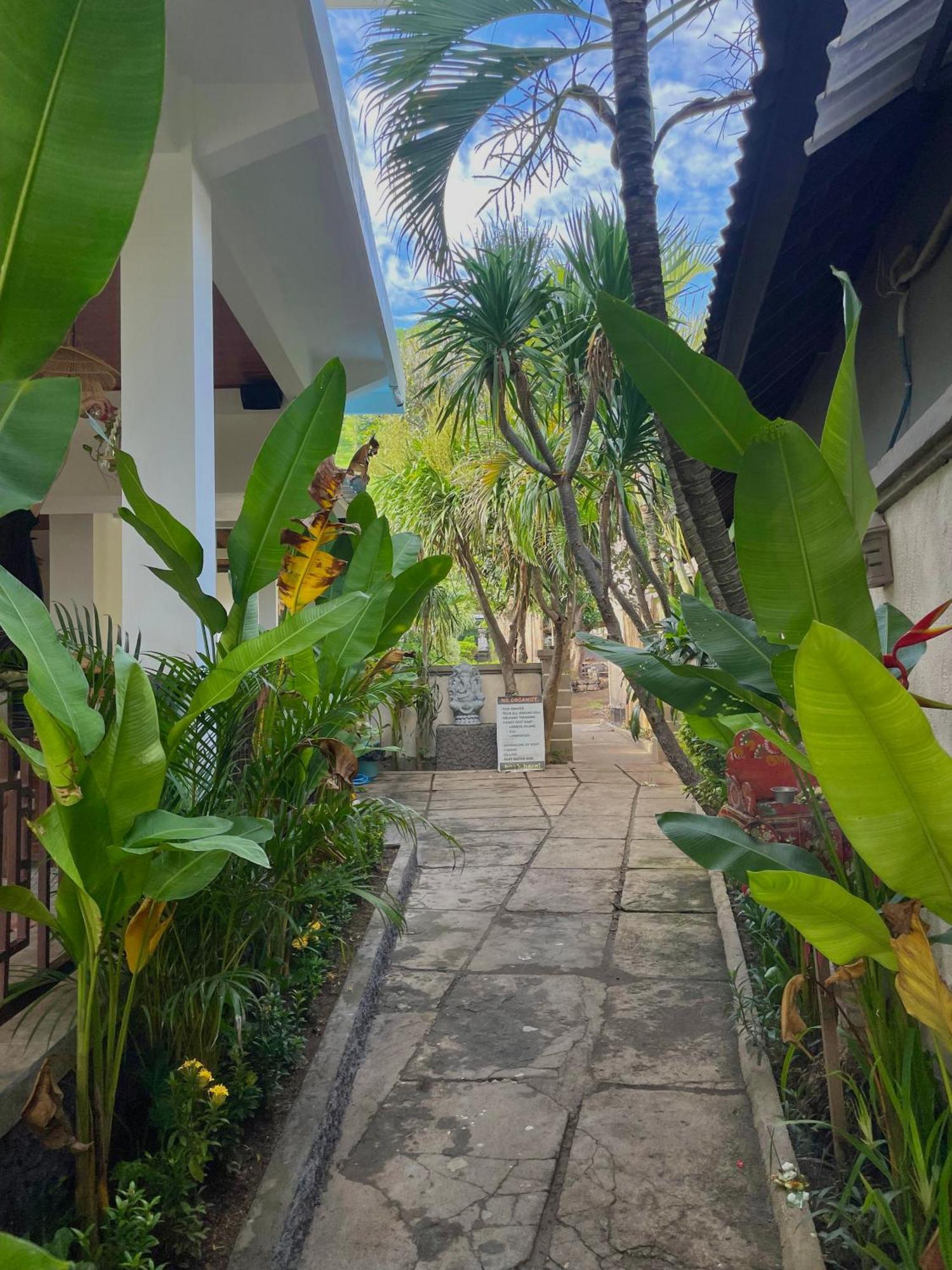 Green Coco House Amed Extérieur photo